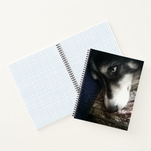 Sleepy Dog Spiral Notebook Notizblock (Innenseite)