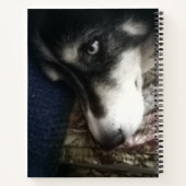 Sleepy Dog Spiral Notebook Notizblock (Rückseite)