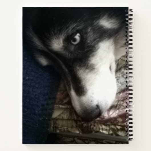 Sleepy Dog Spiral Notebook Notizblock (Rückseite)