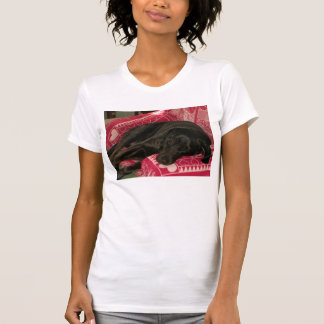 Sleepy Dog Womens Lässig Scoop T - Shirt