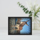 Sleepy Donkey Postkarte (Stehend Vorderseite)