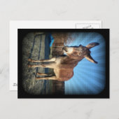 Sleepy Donkey Postkarte (Vorne/Hinten)