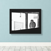Sleepy Dove Leinwanddruck (Insitu (Holzboden))