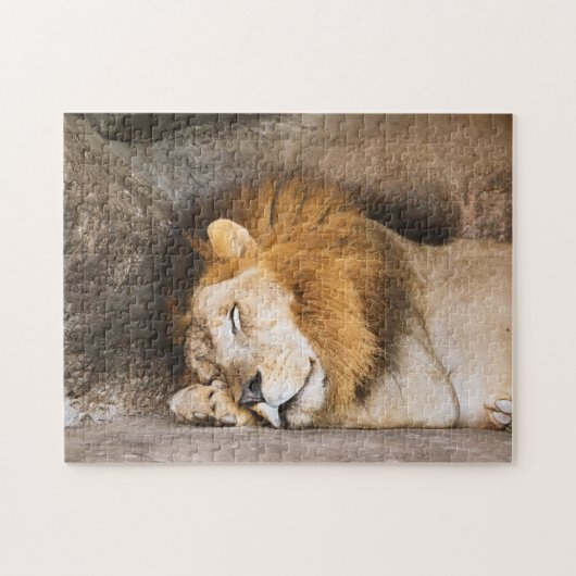 Sleepy Dreaming Adult Lion on Rocks Puzzle (Horizontal)