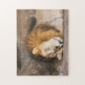 Sleepy Dreaming Adult Lion on Rocks Puzzle (Vertikal)