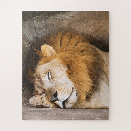 Sleepy Dreaming Adult Lion on Rocks Puzzle (Vertikal)