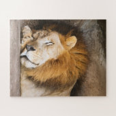 Sleepy Dreaming Adult Lion on Rocks Puzzle (Horizontal)