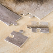 Sleepy Dreaming Adult Lion on Rocks Puzzle (Seite)