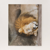 Sleepy Dreaming Adult Lion on Rocks Puzzle (Vertikal)