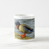 Sleepy Duck Kaffeetasse (Mittel)