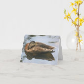 Sleepy Duck Nature Photography Note Karte (Gelbe Blume)