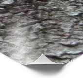 Sleepy Eichhörnchen Foto Print (Ecke)