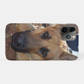 Sleepy Entilation: Young Alsatian Shepherd Dog, Case-Mate iPhone Hülle (Rückseite (Horizontal))