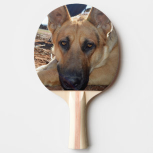 Sleepy Eyes Alsatian Dog, Tischtennis Schläger