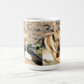 Sleepy Eyes German Shepherd, Kaffeetasse (Mittel)