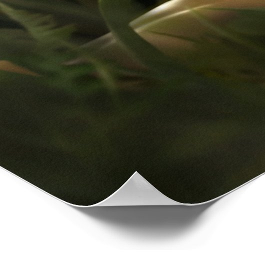 Sleepy Fee von J. Matthew Root Poster (Ecke)