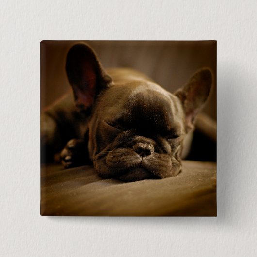 Sleepy French Bulldog Button (Vorderseite)