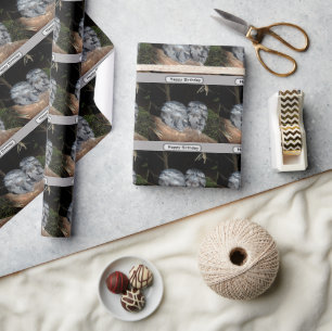 Sleepy Frogmouth Owls, Geburtstag Geschenkpapier