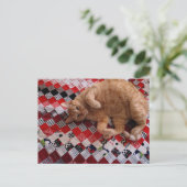Sleepy Ginger Kitty on a red quilt Postkarte (Stehend Vorderseite)