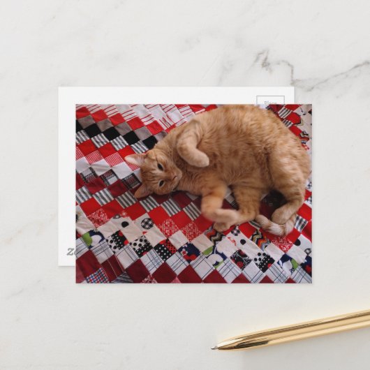 Sleepy Ginger Kitty on a red quilt Postkarte (Vorderseite/Rückseite Beispiel)
