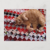 Sleepy Ginger Kitty on a red quilt Postkarte (Vorderseite)