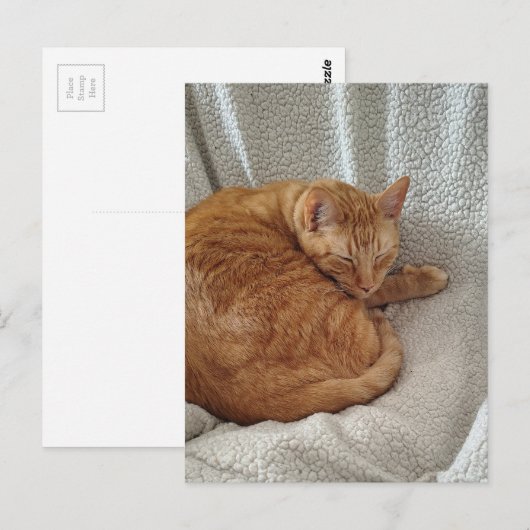 Sleepy Ginger Kitty Postkarte (Vorne/Hinten)