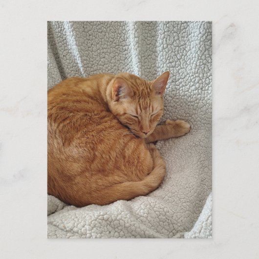Sleepy Ginger Kitty Postkarte (Vorderseite)