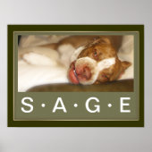 Sleepy Girl Poster (Vorne)