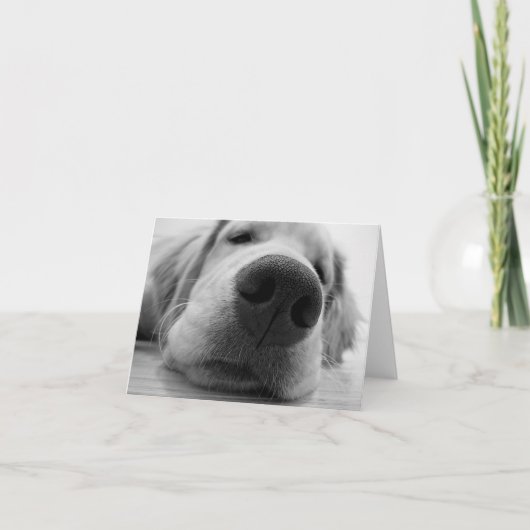 Sleepy Golden Karte (Vorderseite)