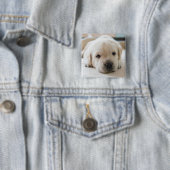 Sleepy Golden Labrador Puppy Button (Beispiel)