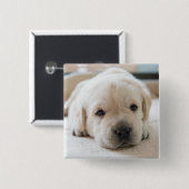 Sleepy Golden Labrador Puppy Button (Vorne & Hinten)