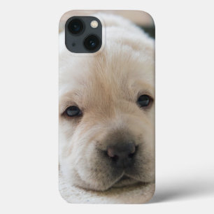 Sleepy Golden Labrador Puppy Case-Mate iPhone Hülle