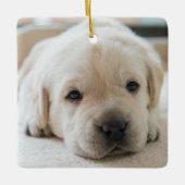 Sleepy Golden Labrador Puppy Keramikornament (Vorderseite)