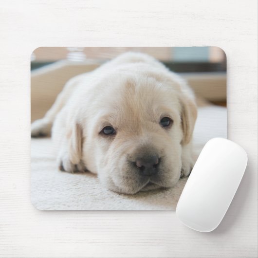 Sleepy Golden Labrador Puppy Mousepad (Mit Mouse)