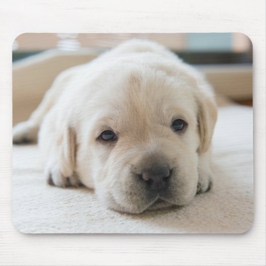 Sleepy Golden Labrador Puppy Mousepad (Vorne)
