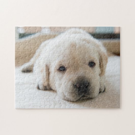 Sleepy Golden Labrador Puppy Puzzle (Horizontal)
