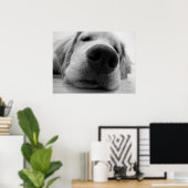 Sleepy Golden Poster (Heimbüro)