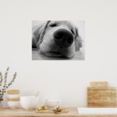 Sleepy Golden Poster (Küche)