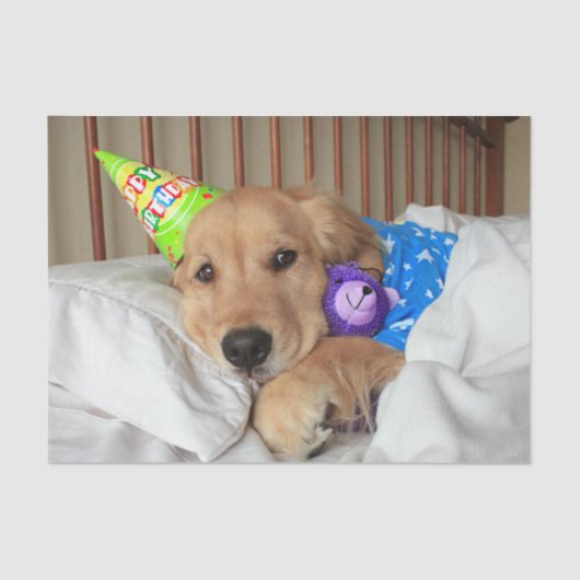 Sleepy Golden Retriever in Pajamas Geburtstag Seidenpapier (Vorderseite)