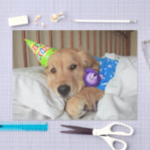 Sleepy Golden Retriever in Pajamas Geburtstag Seidenpapier (Handwerk)