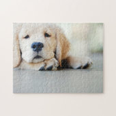 Sleepy Golden Retriever Puppy Puzzle (Horizontal)
