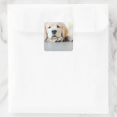 Sleepy Golden Retriever Puppy Quadratischer Aufkleber (Tasche)