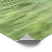 Sleepy Goslings Poster (Ecke)