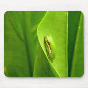 Sleepy Green Frog Mousepad