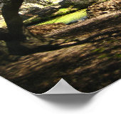 "Sleepy Hollow" Poster (Ecke)