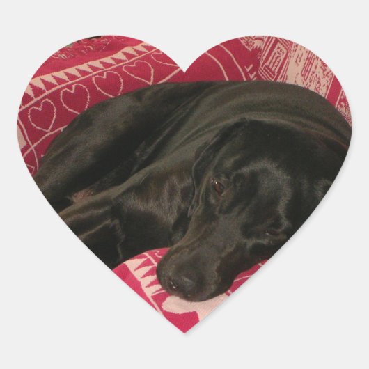 Sleepy Hund Sticker Set (Vorderseite)