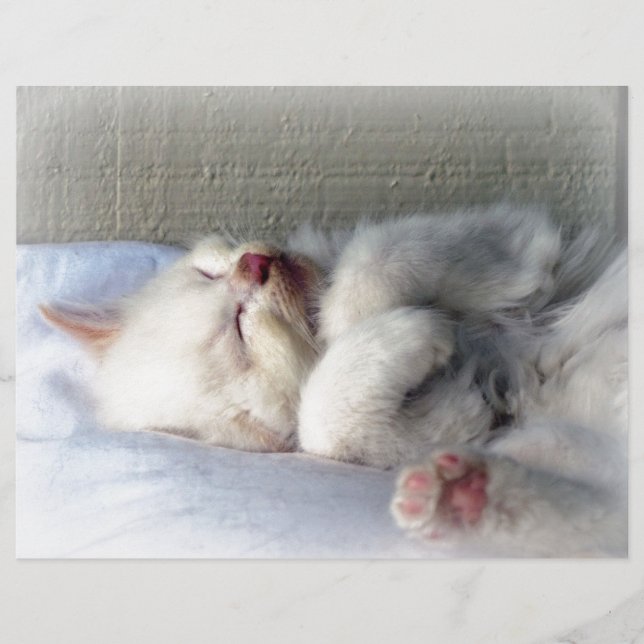 Sleepy Kitten (Vorderseite)
