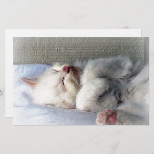 Sleepy Kitten Briefpapier (Vorne/Hinten)