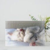 Sleepy Kitten Briefpapier (Stehend Vorderseite)