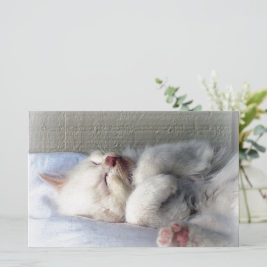 Sleepy Kitten Briefpapier (Stehend Vorderseite)